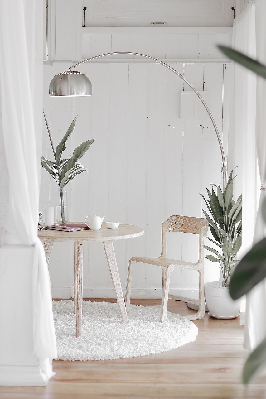 plant, design, home, house, lamp, white, nature, wood, home, home, home, home, home-4243898.jpg